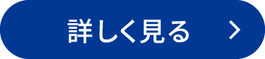 詳しく見る